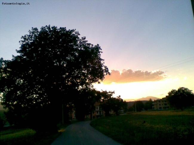 VIALE DEL TRAMOTO