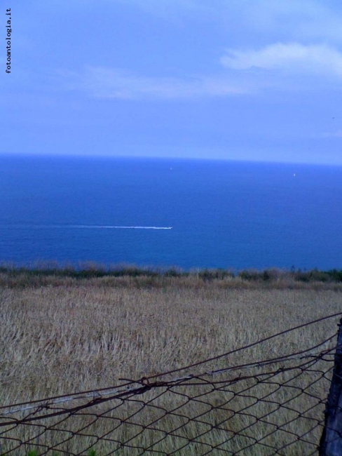 Blu Conero