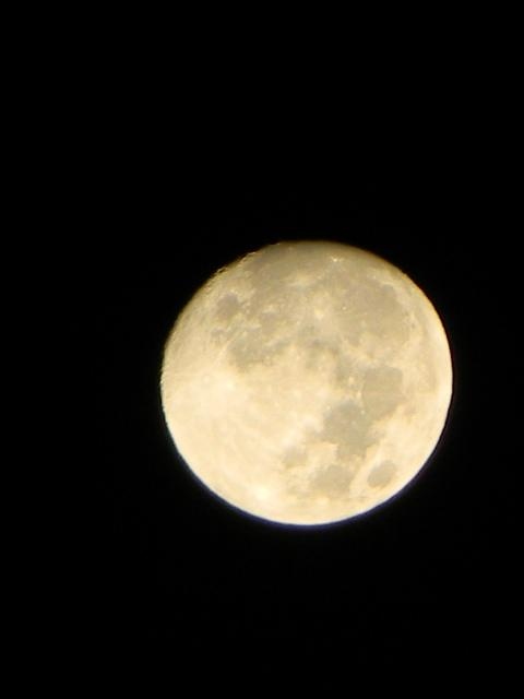 Luna d'agosto 2