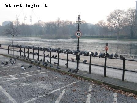 STAZIONE DI POSTA