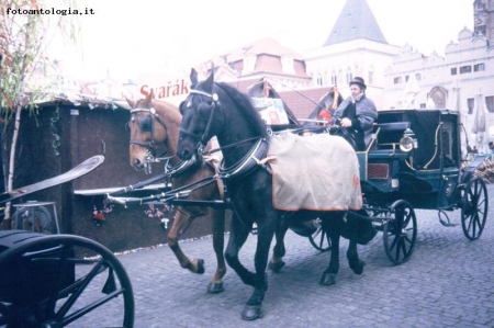 Praga - Una citt emersa dal passato