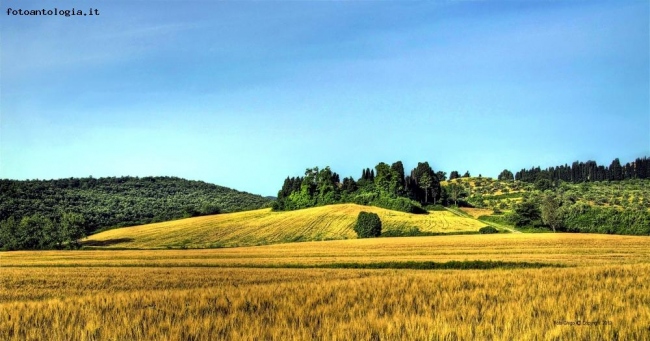 nei dintorni di casa mia - collinetta magica..