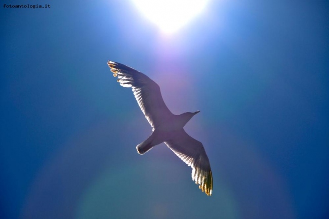in the sun..
