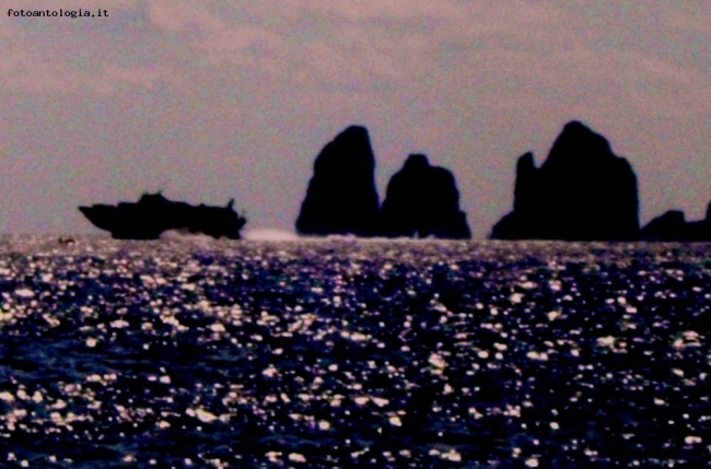 Capri i faraglioni