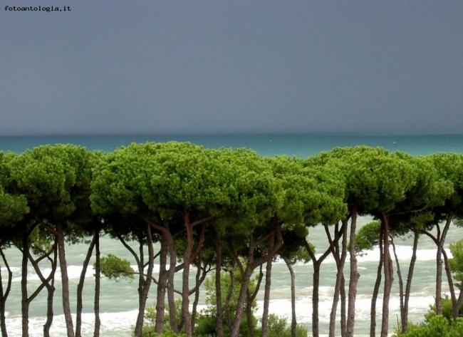 Il temporale vien dal mare