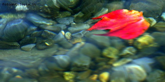 In viaggio sull'acqua