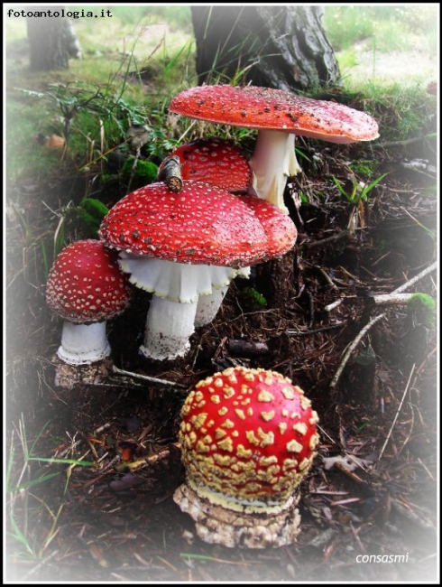 Autunno 2010