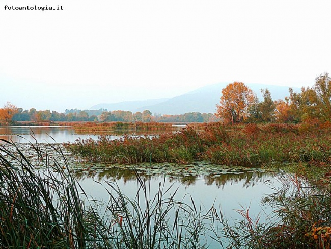 colori d'autunno