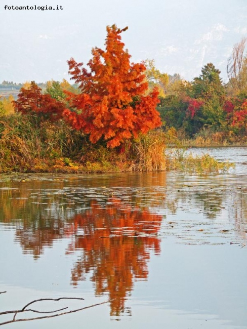 colori caldi d'autunno