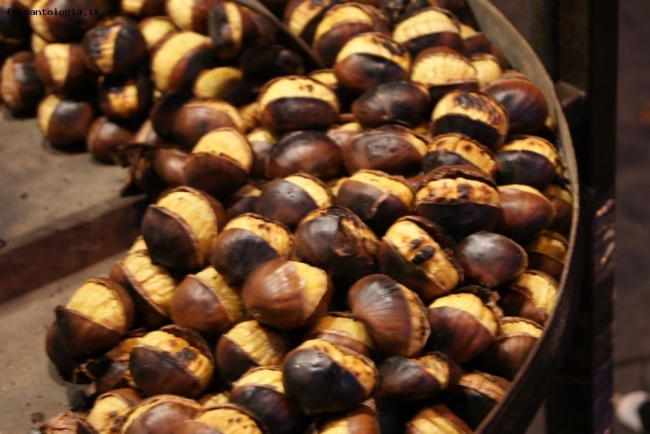 castagne