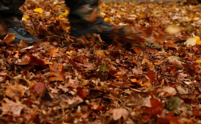 neve di autunno