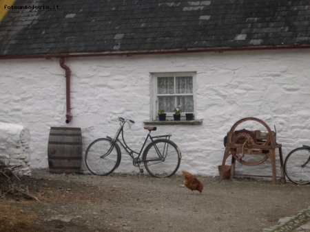 Farm in ireland