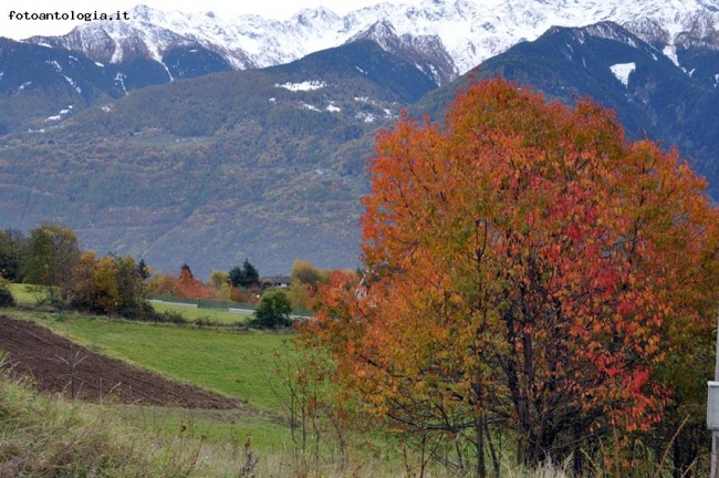 panorama d'autunno