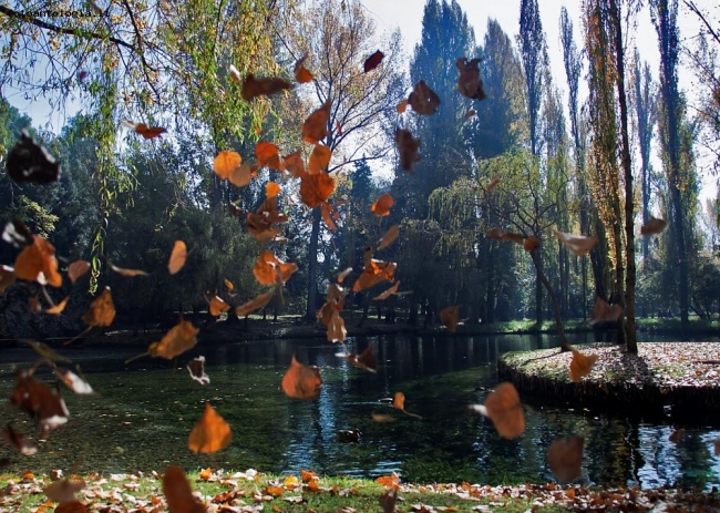 Vento d'autunno