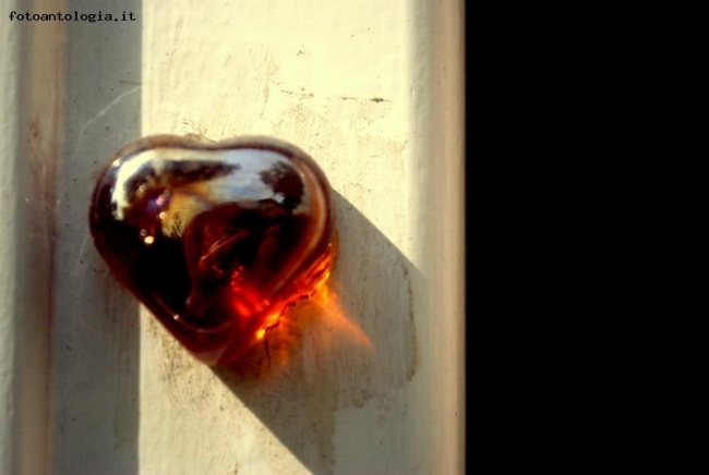 la luce nel cuore..
