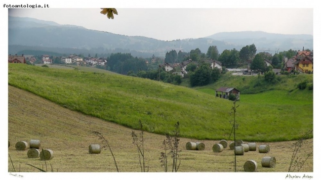 I colori di Asiago