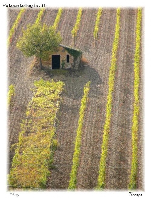 Terre di Toscana