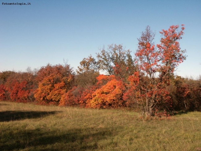 Il Carso in Autunno