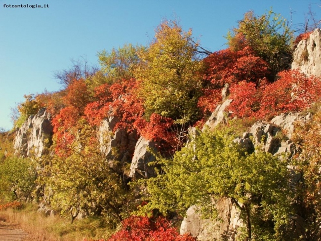 Il Carso in Autunno