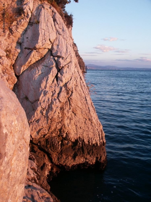 Il Carso sul mare