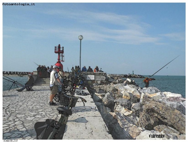 Lungo Molo di Viareggio