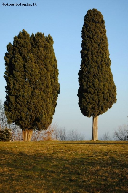 il grasso..e il lungo..