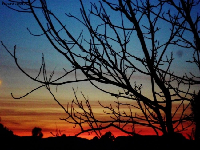 Controluce al tramonto