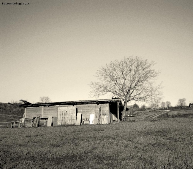 baracca sulla collina