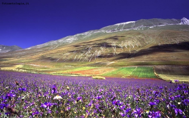 Sibillini colors....2