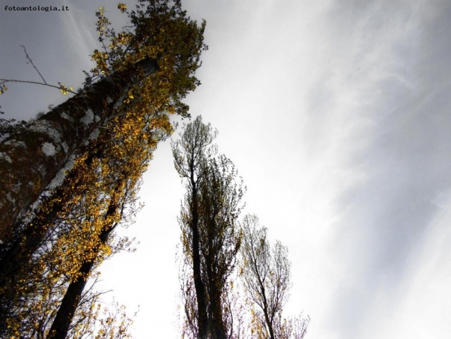 Verso il cielo