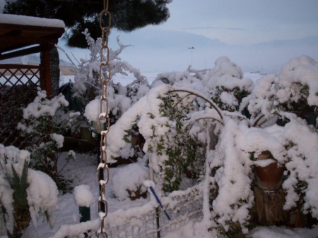 neve