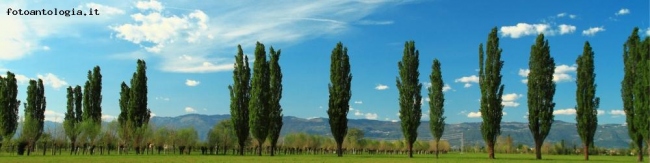 Panorama di campagna