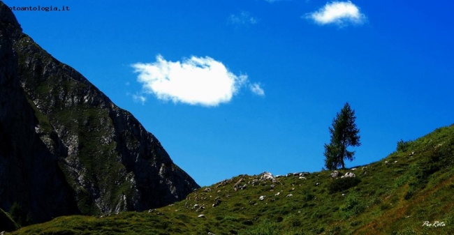 Colori naturali..