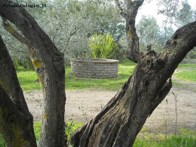 il pozzo dei desideri