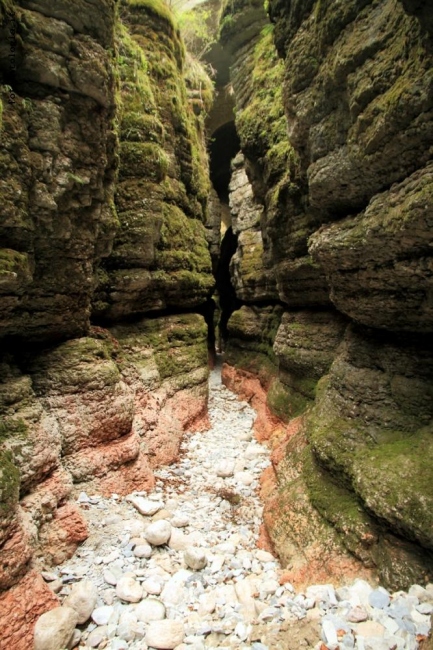 Canyon...vicentino