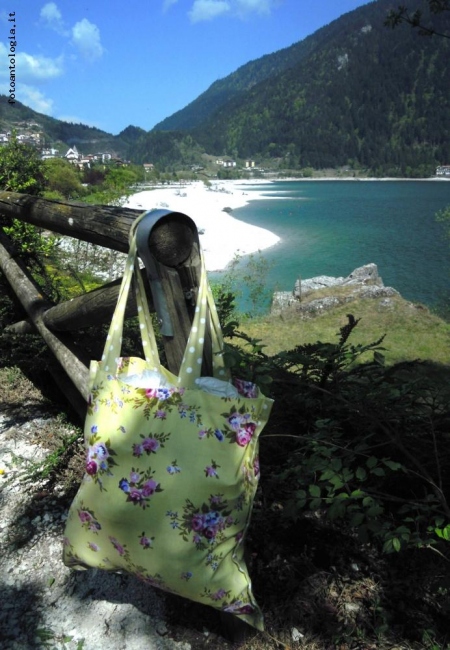 veduta sul Lago di Molveno