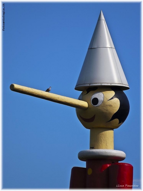 L'uccellino....