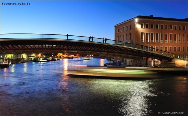 Ponte Calatrava (Venezia)