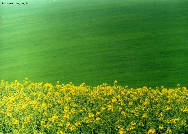 colori della natura