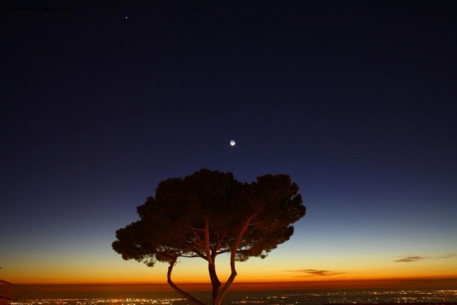 l'albero e la luna