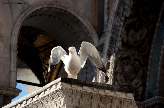 venezia..non solo arte..