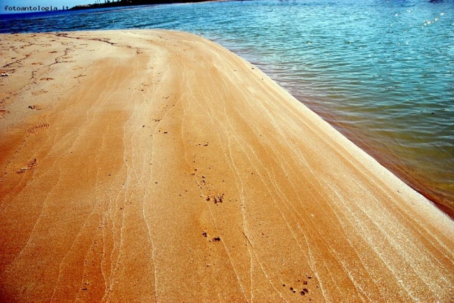 la spiaggia dorata