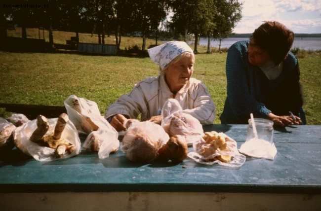 Donne e funghi a Yaroslav