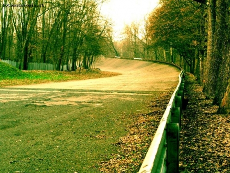 Monza - A bordo pista