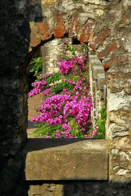 Una finestra sui colori della natura