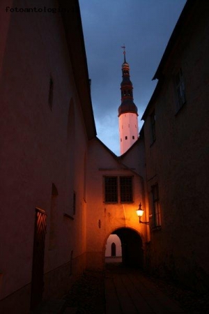Tallinn notturno