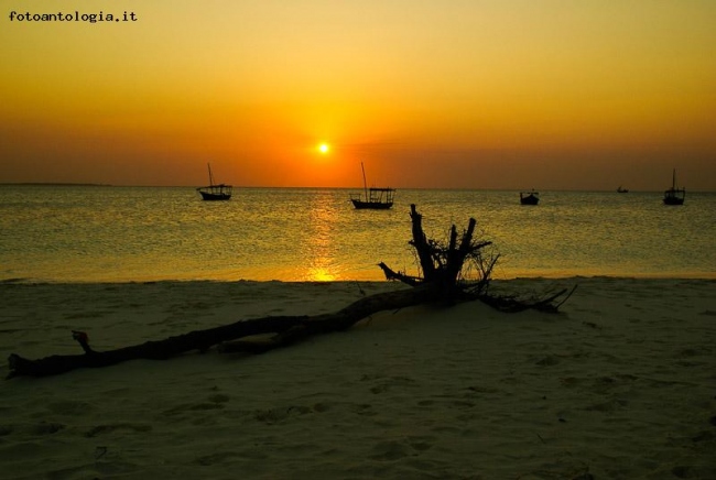 Tramonto a Zanzibar