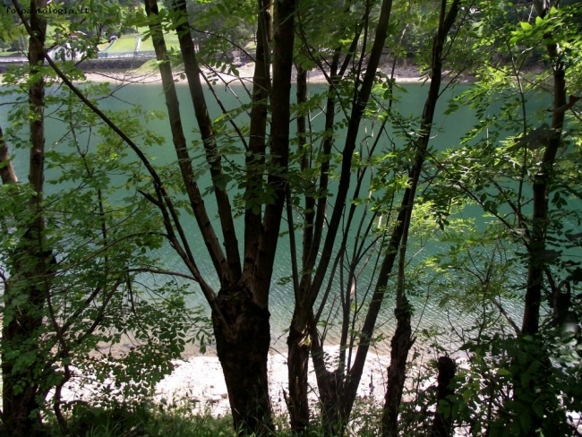 specchio d'acqua fra i rami