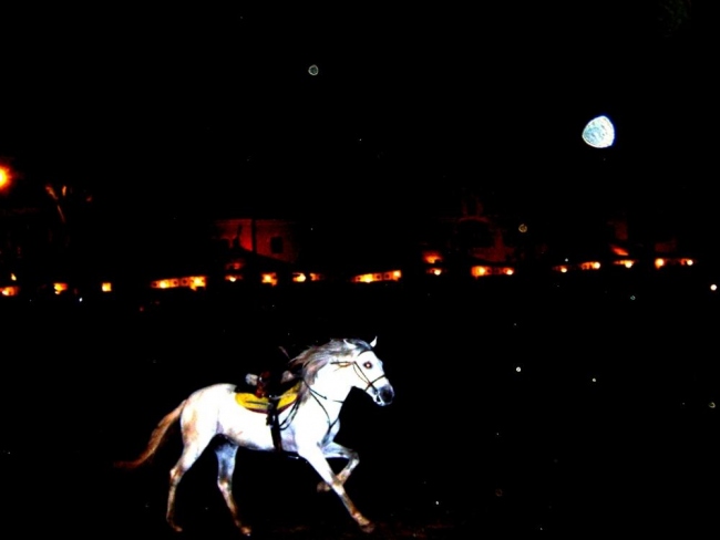 il cavallo e la luna