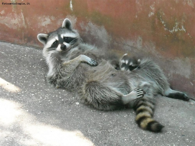 Madre e figlio